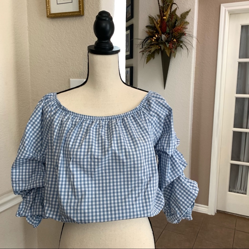 Heart Hips blue &white gingham print crop top Size M